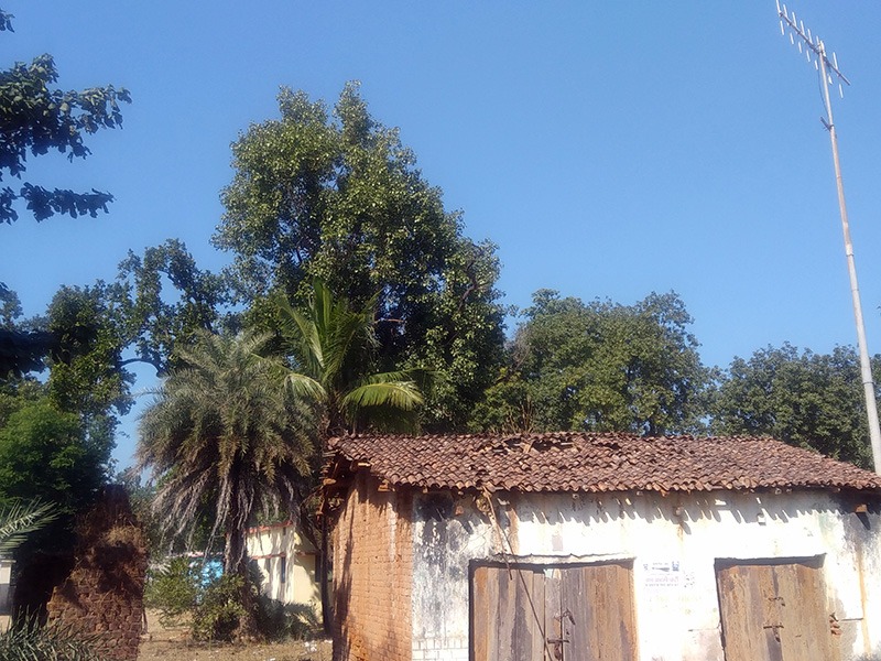 Chhattisgarh Village Hut India