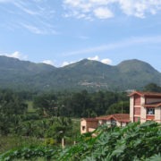 Nilgiri Hills Near Ooty
