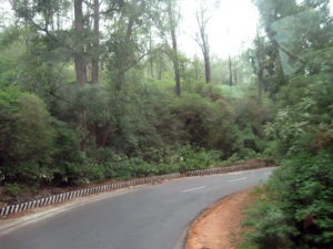 Mountain Jungle Road