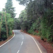 Nilgiri Hills Road