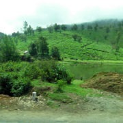 Nilgiri Hills Mountain Range