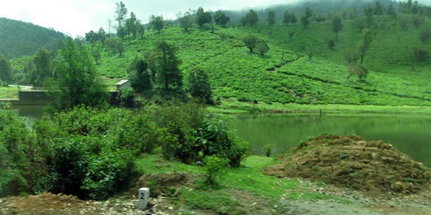 Nilgiri Hills Mountain Range