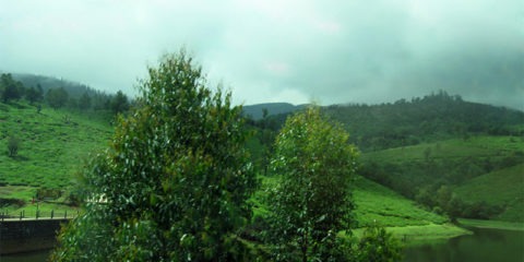 Nilgiri Hills Valley