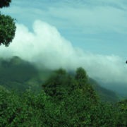 Mountain View Cloud